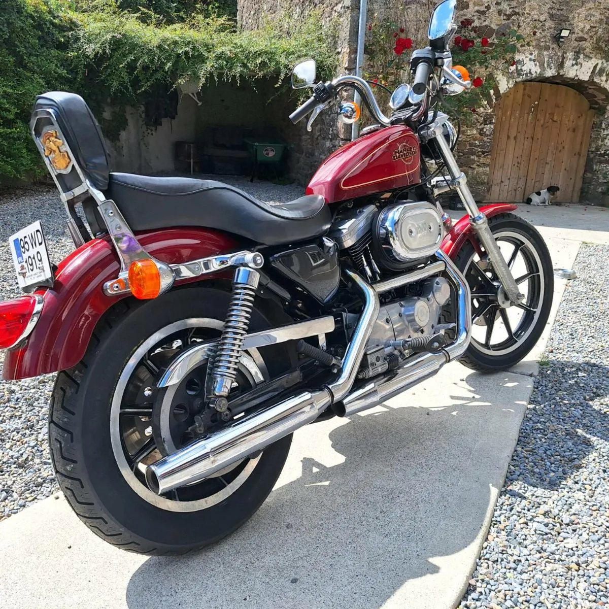 Harley davidson sporster 1200 - Image 3