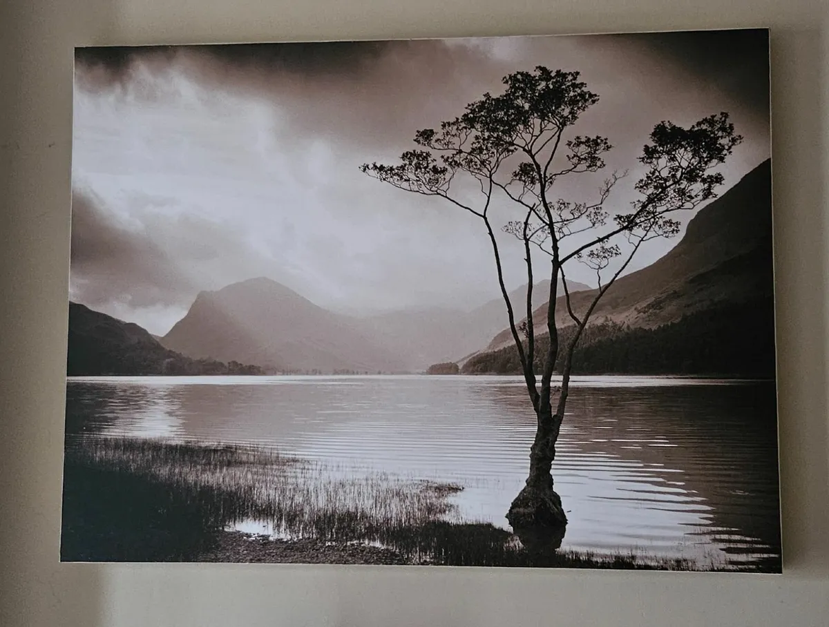 Pictures - Image 1