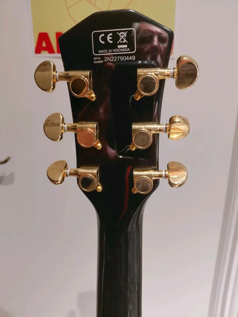 Sire Larry Carlton H7V with P90s - Image 4