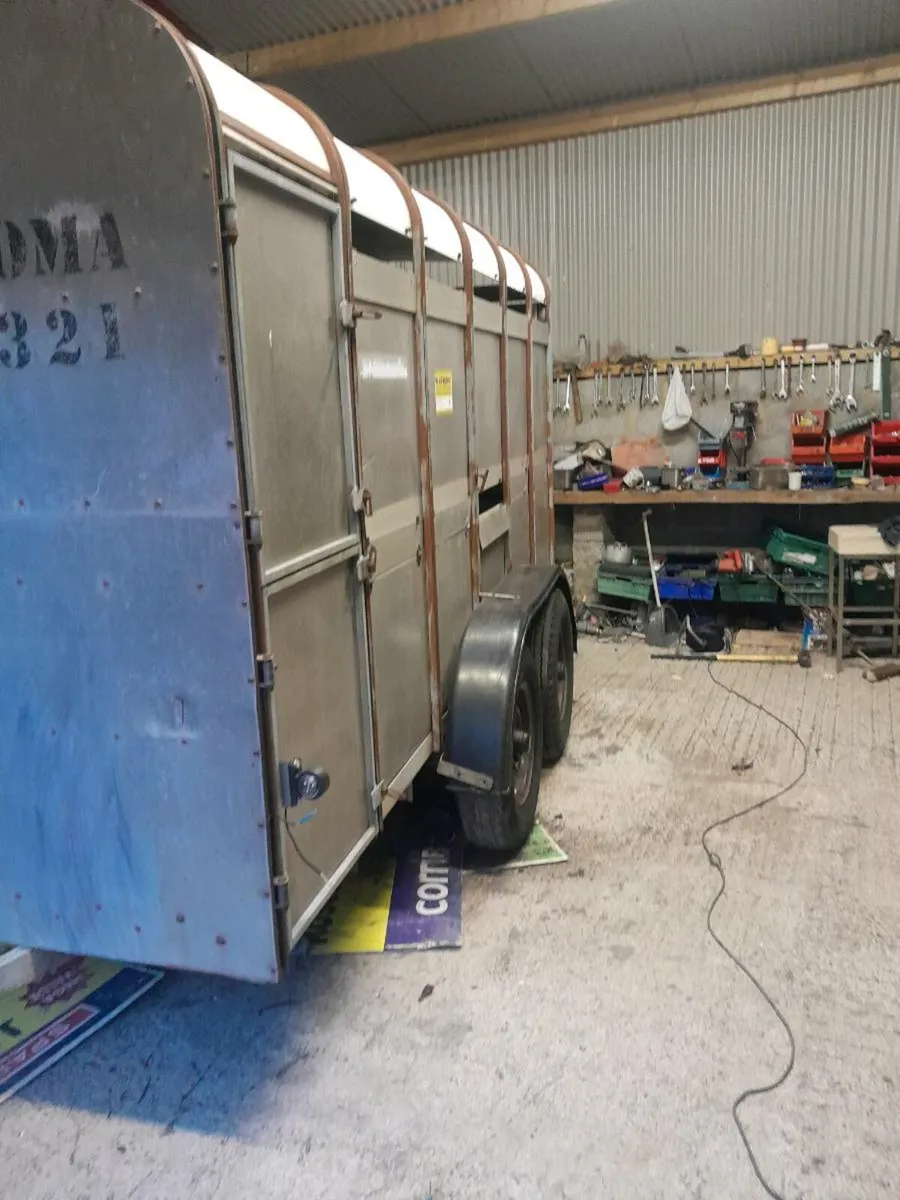 Ifor 12by6cattle trailer cal 0868782672 - Image 3