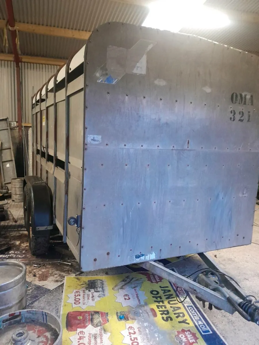 Ifor 12by6cattle trailer cal 0868782672 - Image 4
