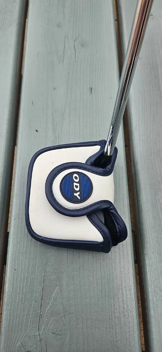 Putter - Image 1
