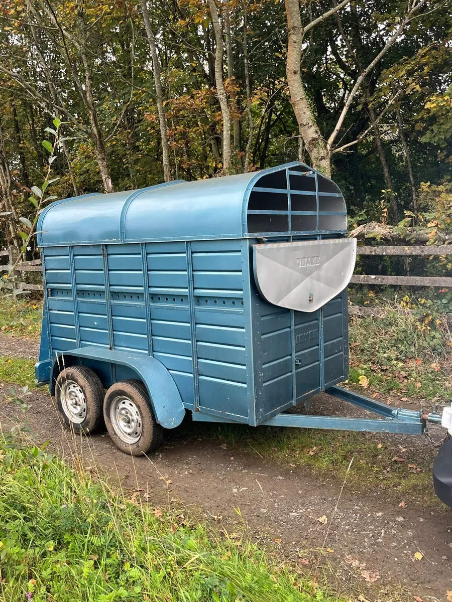 8x5 Joyce cattle sheep trailer - Image 1