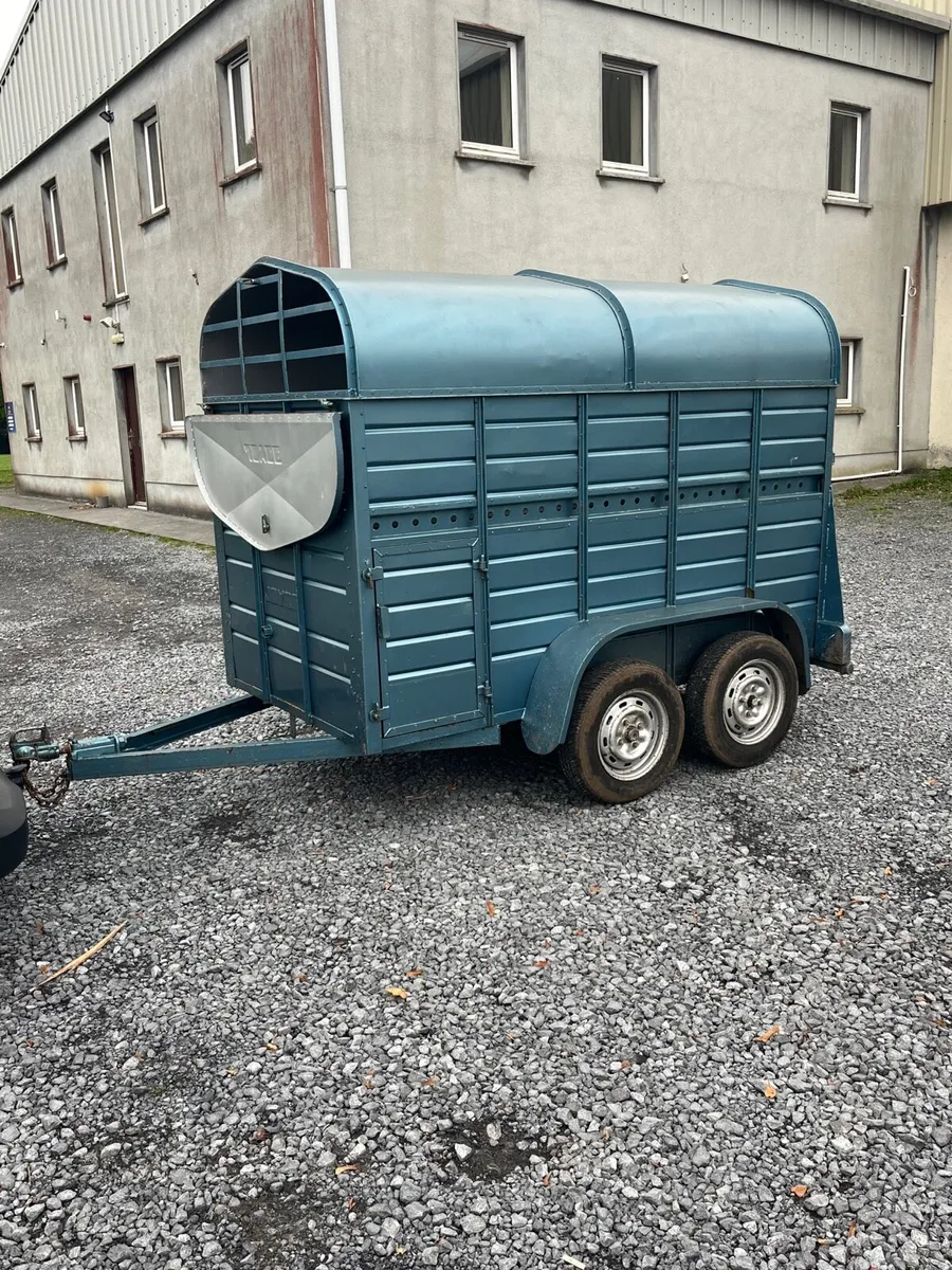 8x5 Joyce cattle sheep trailer - Image 2