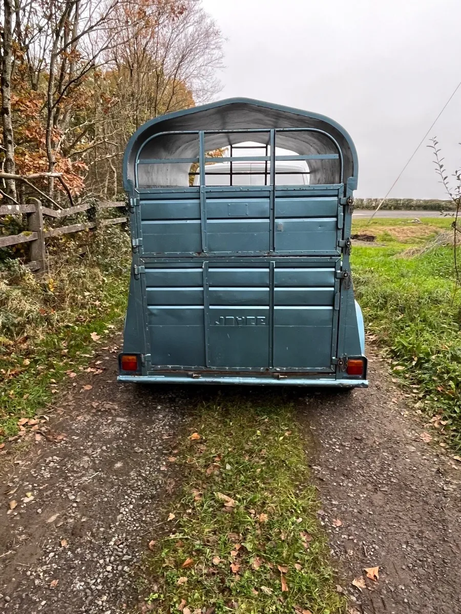 8x5 Joyce cattle sheep trailer - Image 4