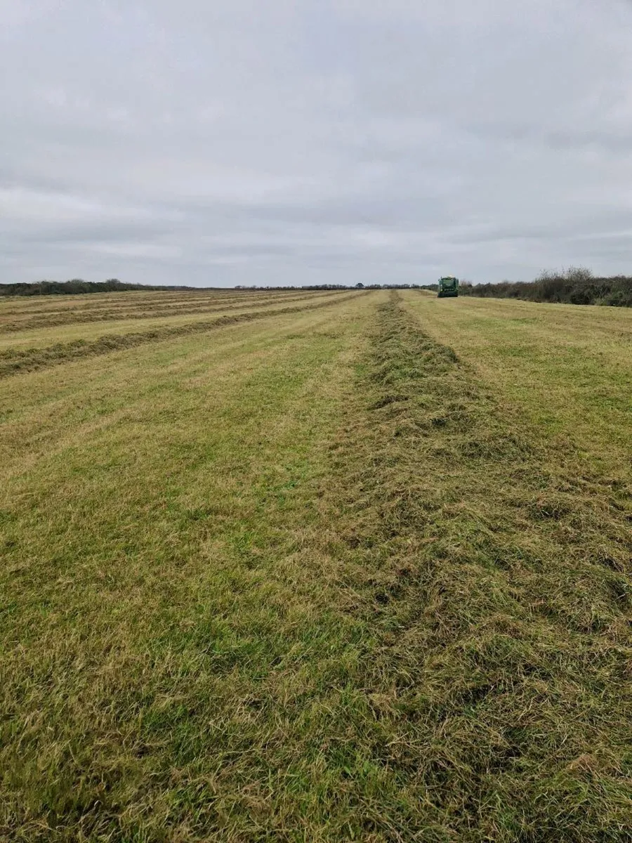 Bale silage - Image 1