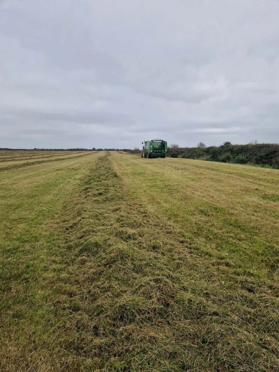 Bale silage - Image 3