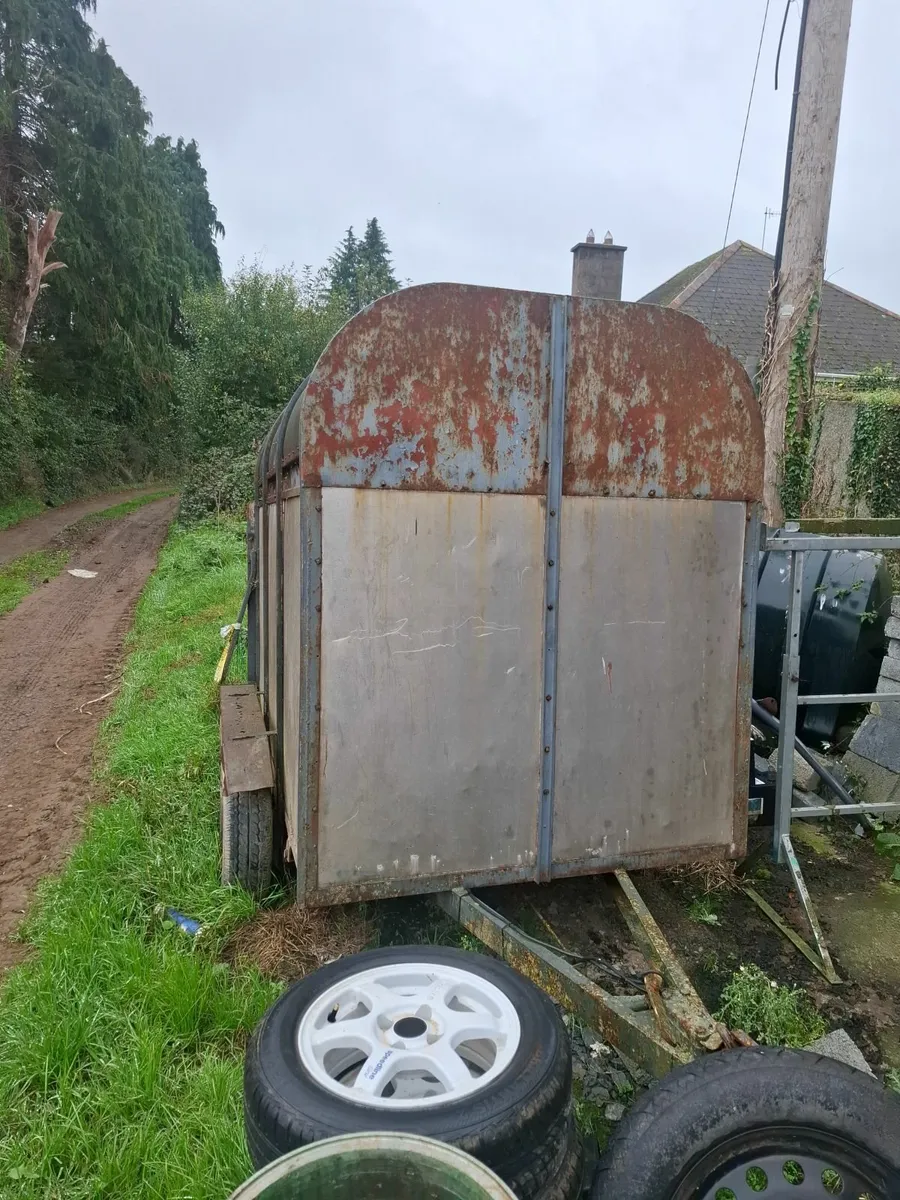 8 x 5 cattle box - Image 1
