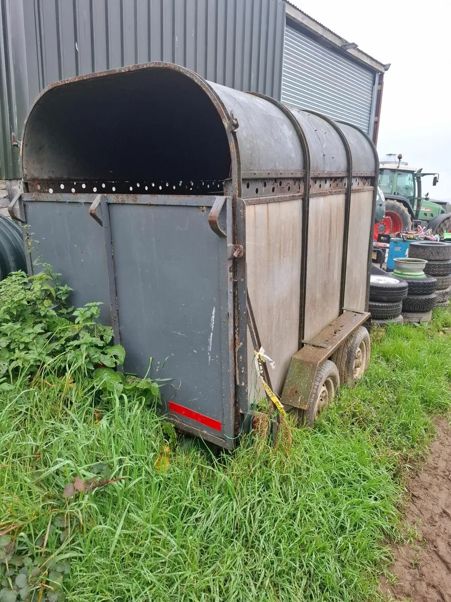8 x 5 cattle box - Image 2