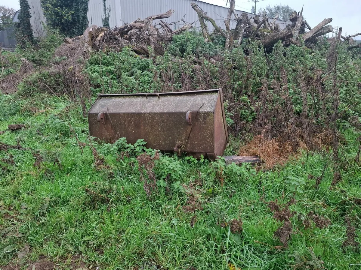 8 x 5 cattle box - Image 3