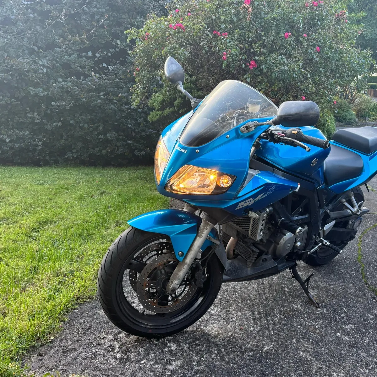 Suzuki SV 650 - Image 1