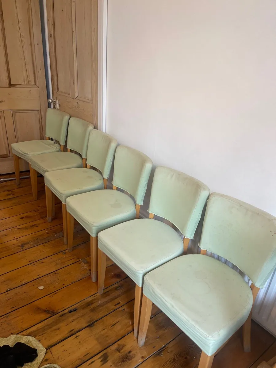 Six habitat chairs need recovery - Image 1