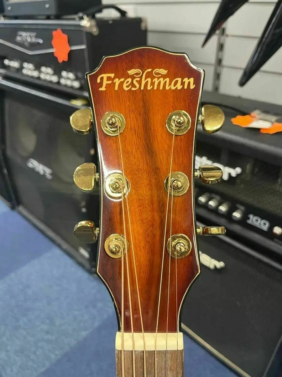 Freshman Electro Acoustic Guitar with Case - Image 4