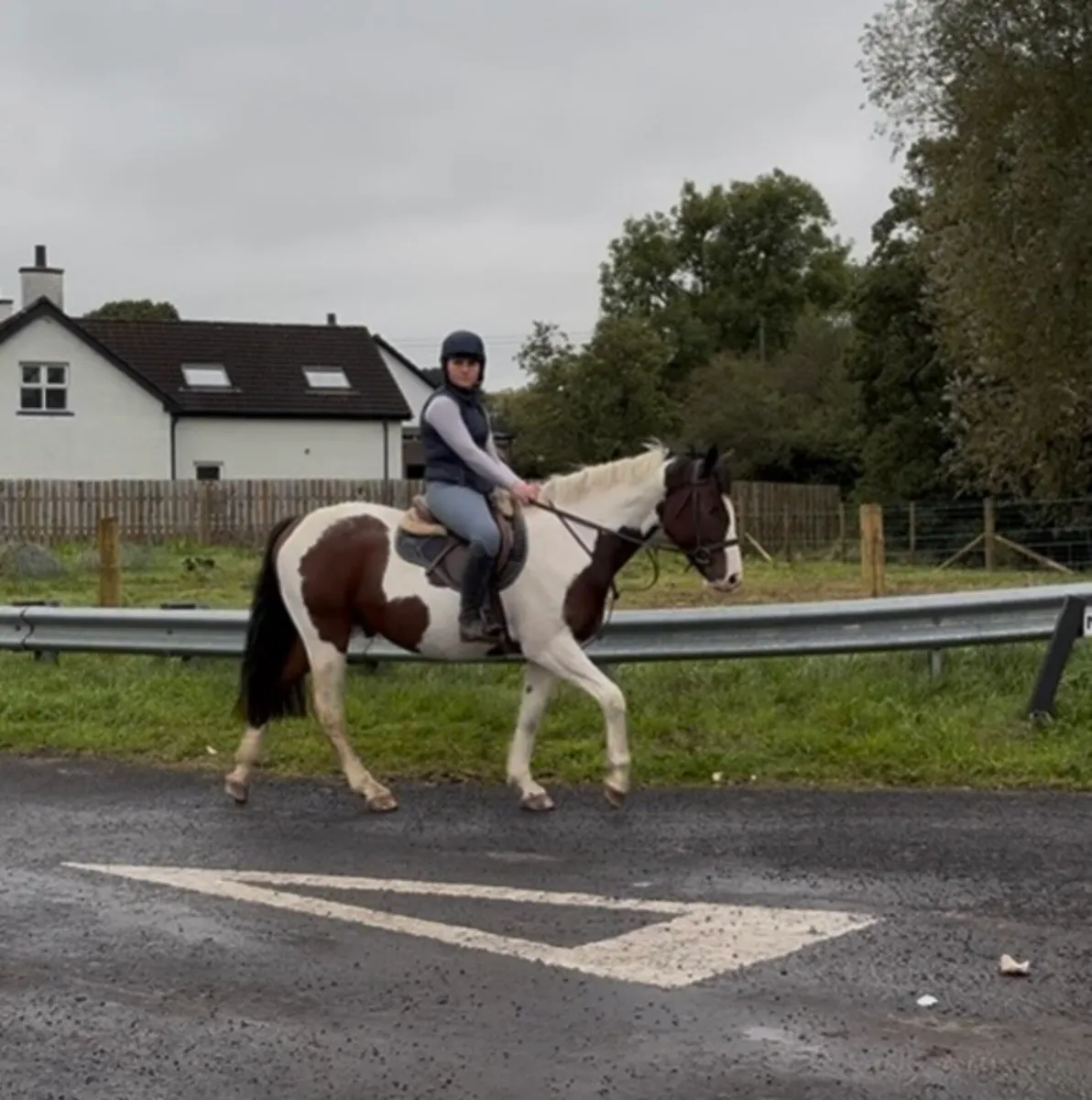 Allrounder - Image 4