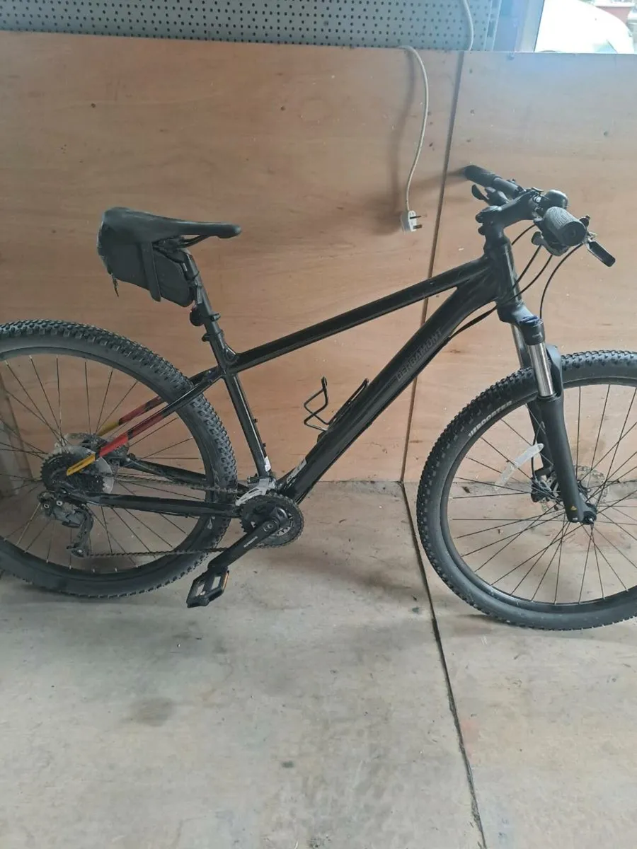 Mountain Bike - Image 1