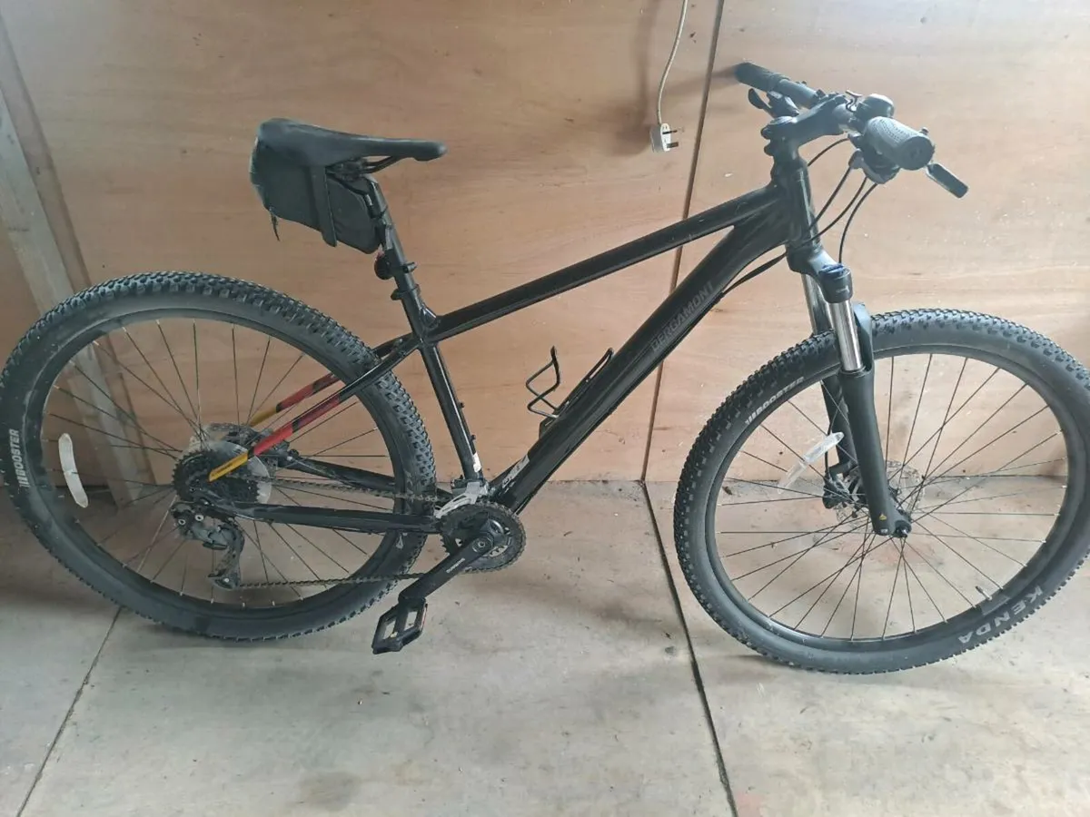 Mountain Bike - Image 2