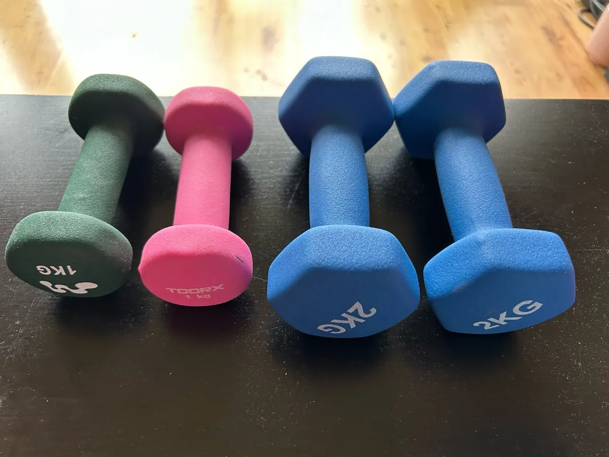 Dumbbells, new HALF PRICE - Image 1