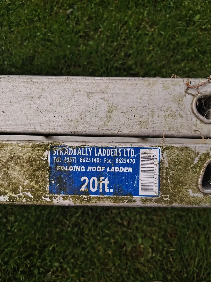 Roofing ladder - Image 1