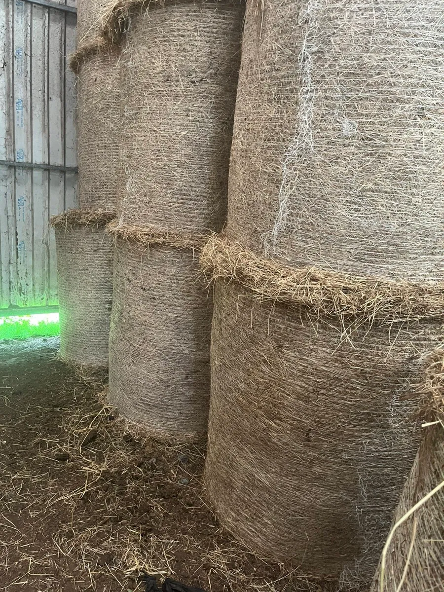 Hay for sale