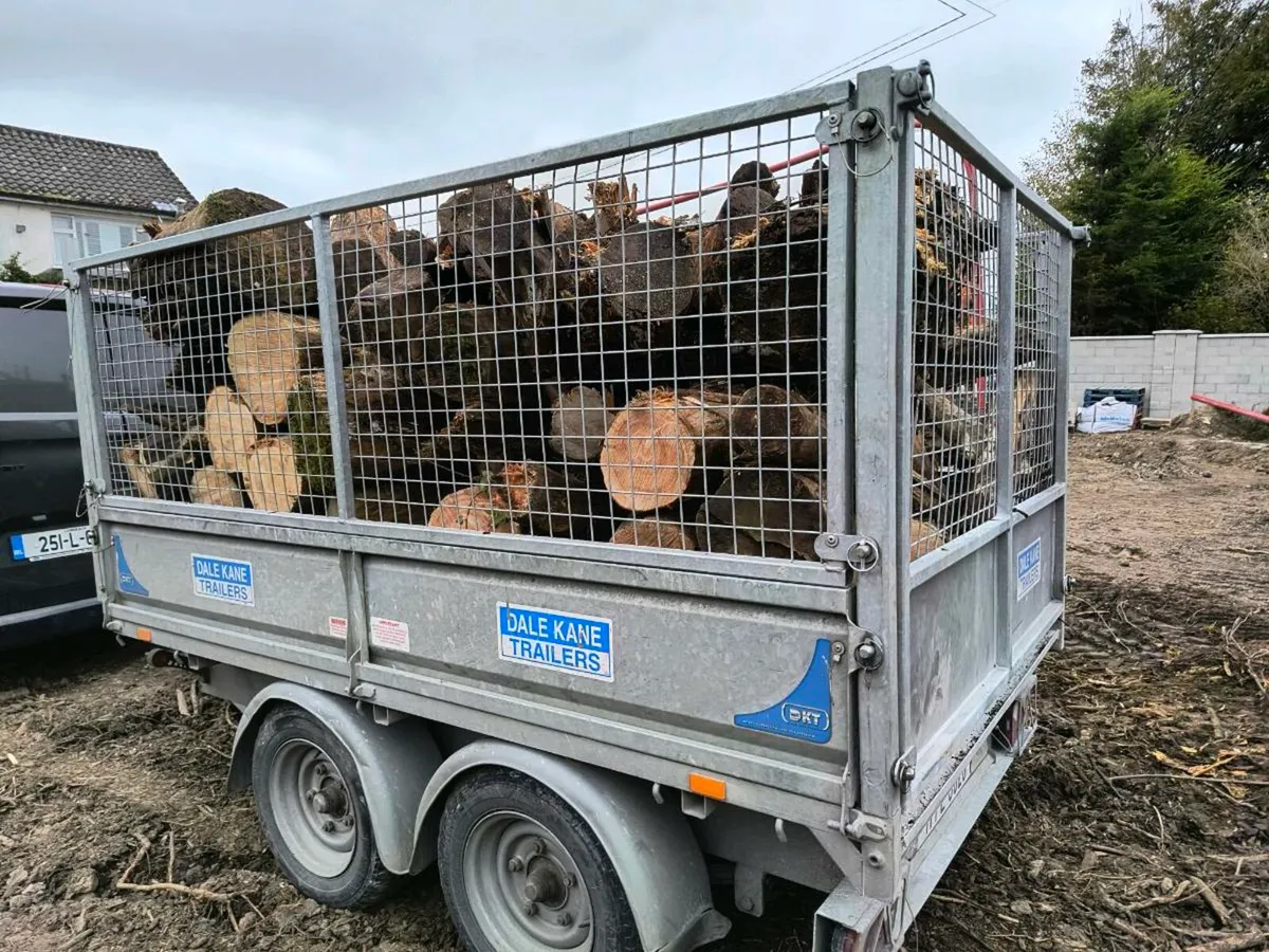 Timber fire wood - Image 2