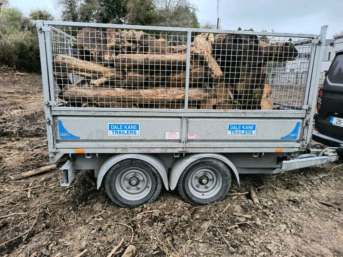 Timber fire wood - Image 3