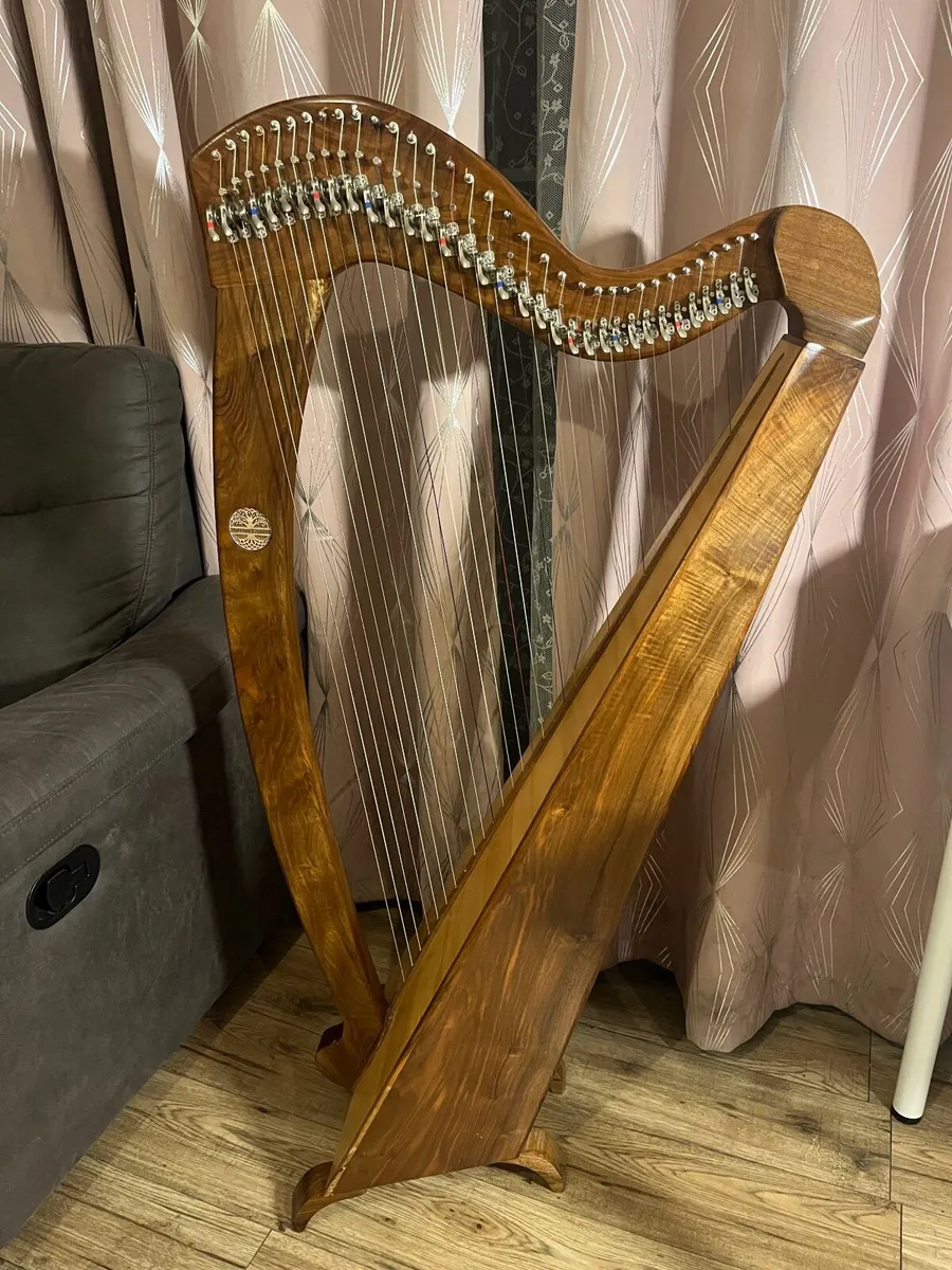 Callan harp for sale - Image 3