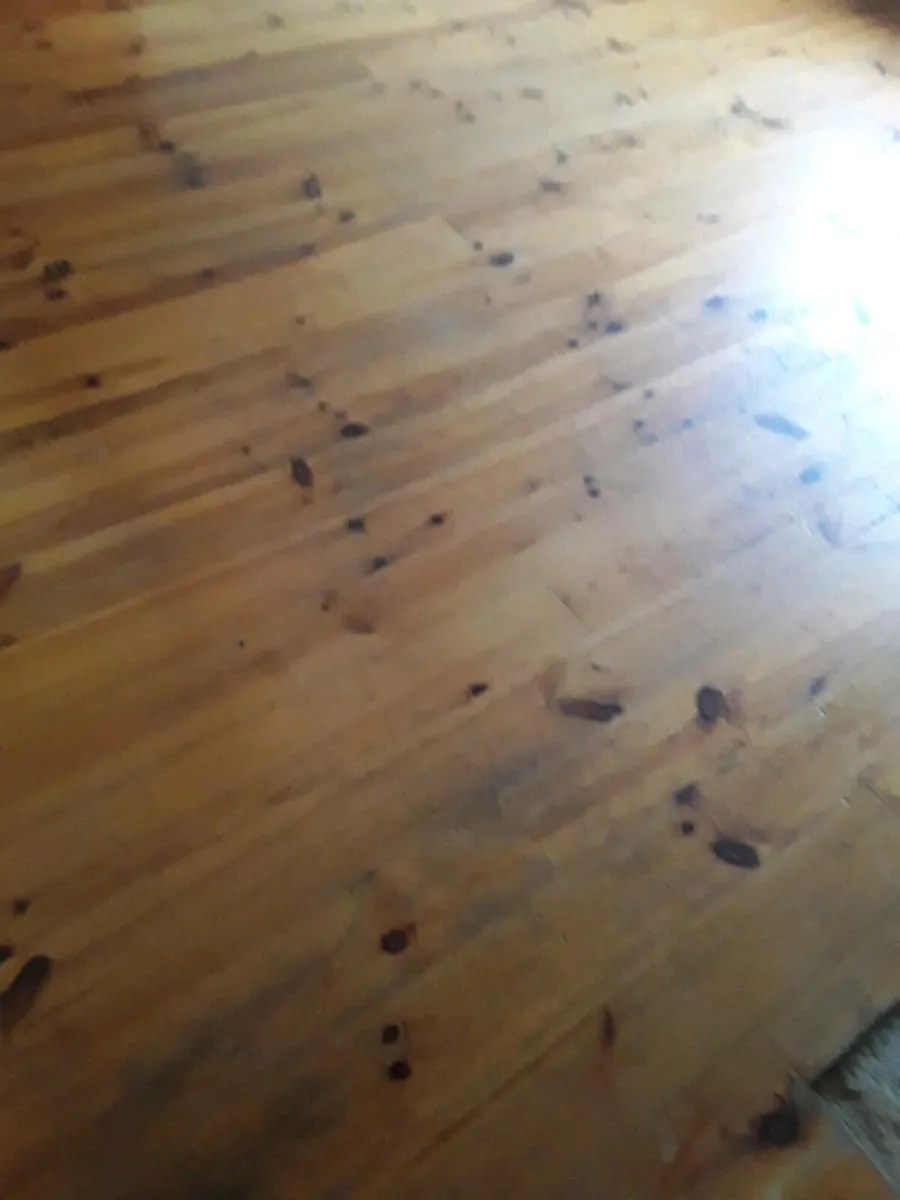 Pine Pitch Solid Wood Floor - Image 2