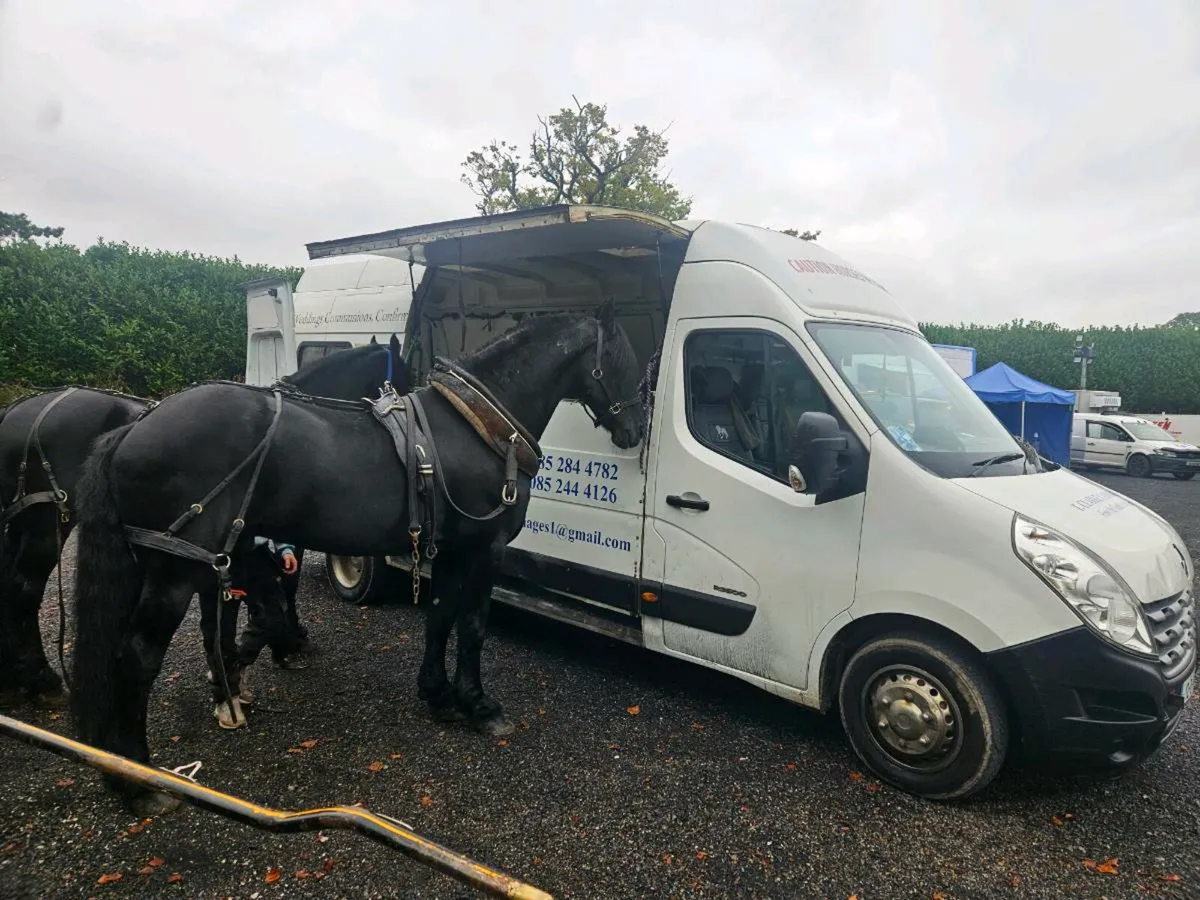 Horse van - Image 2