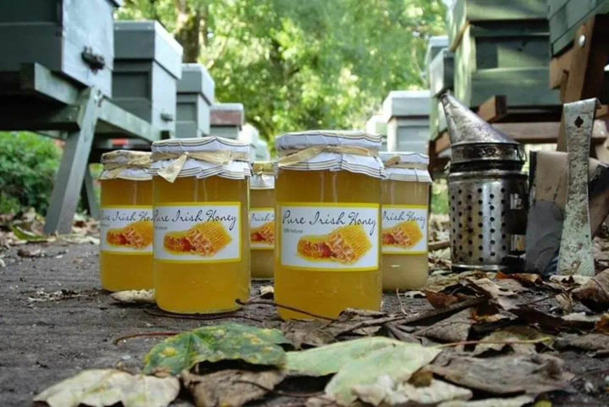 Raw Irish Honey - Image 2