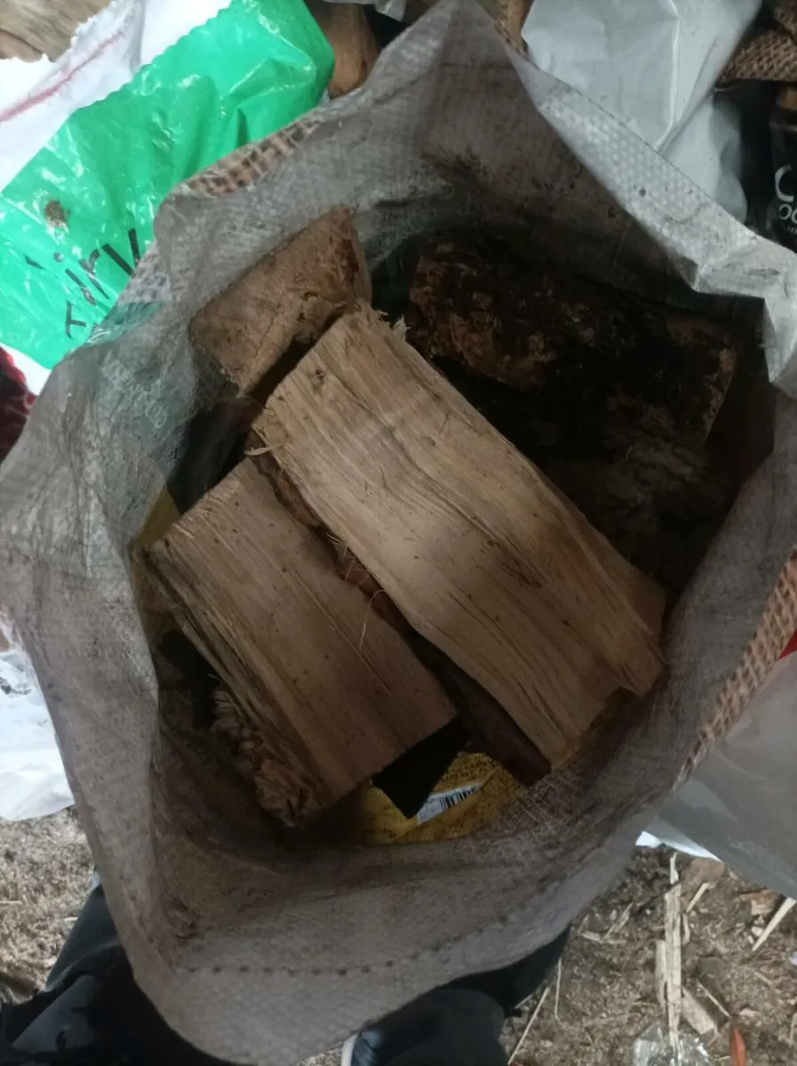 Ash logs and kindling for sale - Image 2
