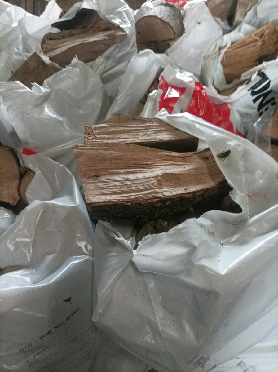 Ash logs and kindling for sale - Image 3