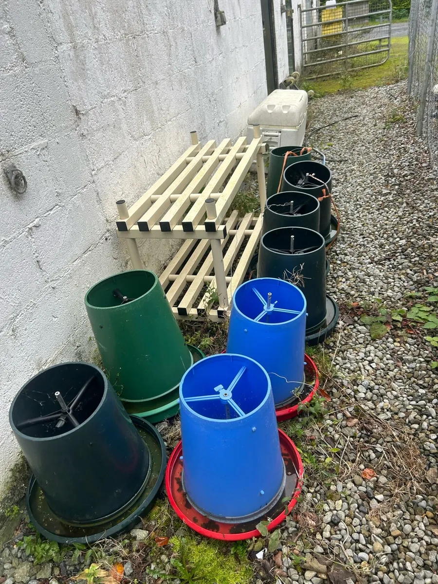 Chicken feeders and brooder - Image 1