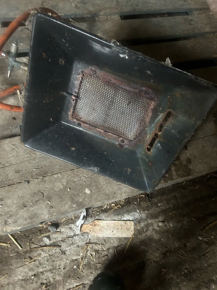 Chicken feeders and brooder - Image 2