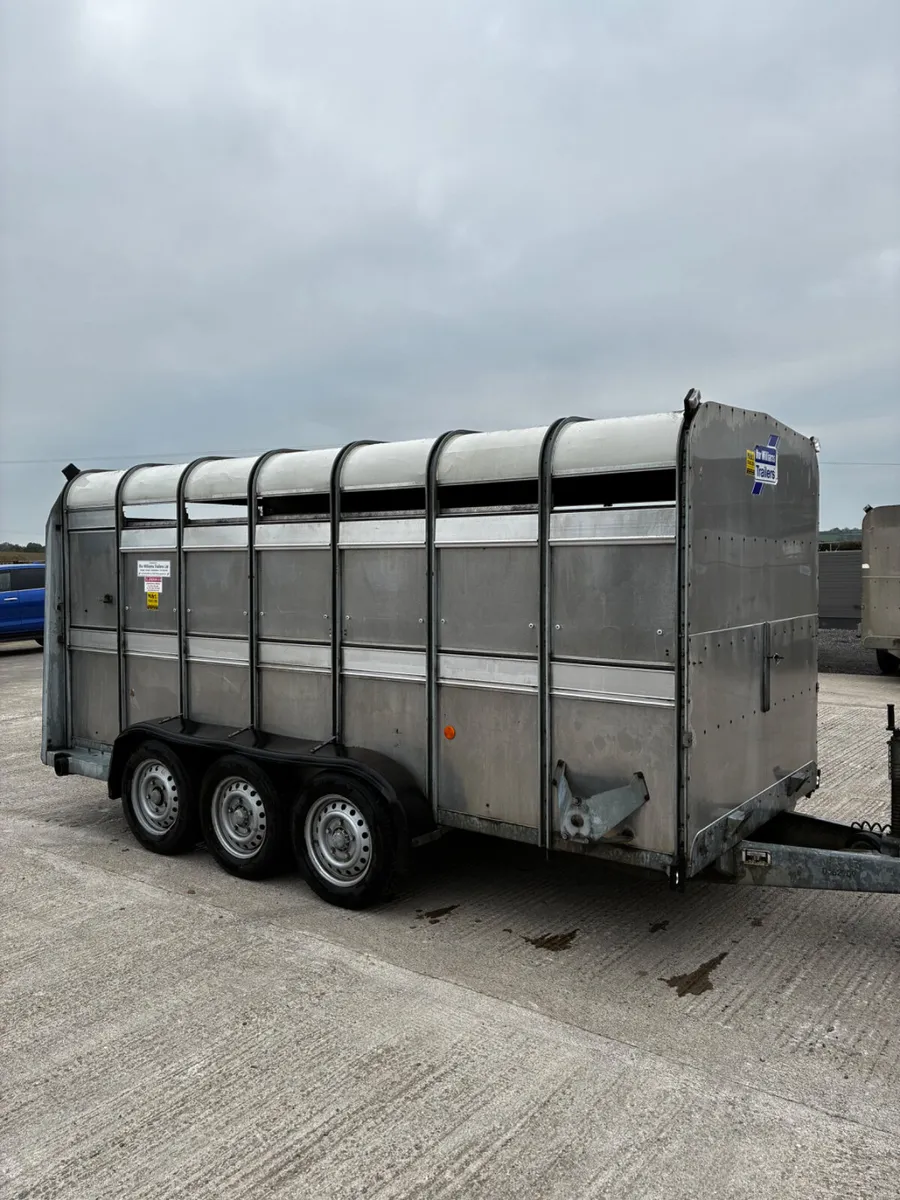 14ft ifor Williams livestock with decks - Image 1