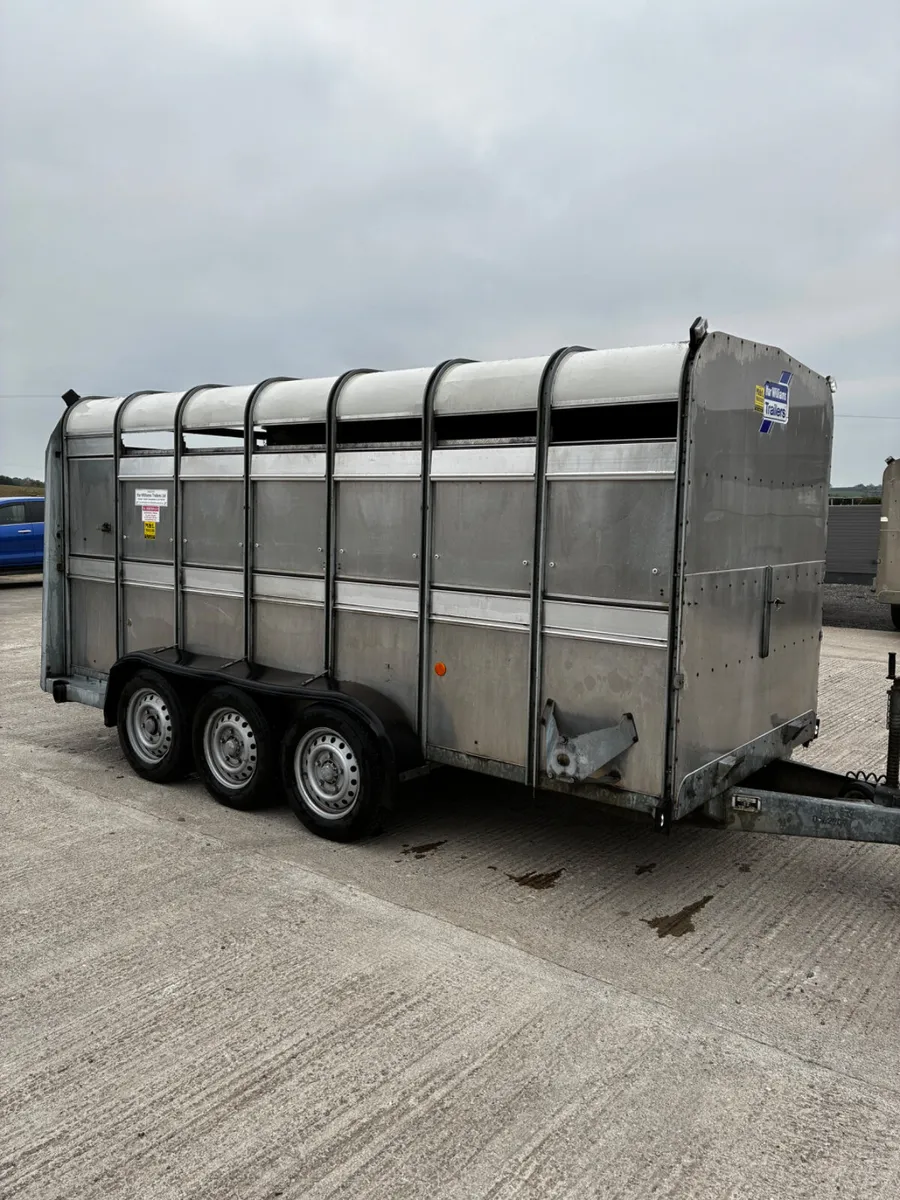 14ft ifor Williams livestock with decks - Image 3