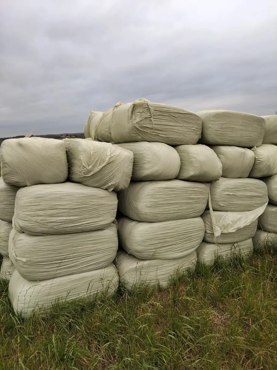 Haylage - Image 1