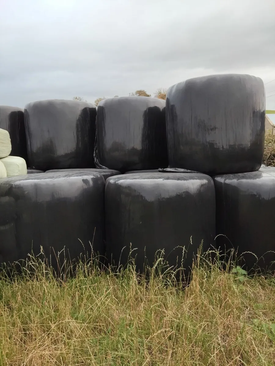 Haylage - Image 2