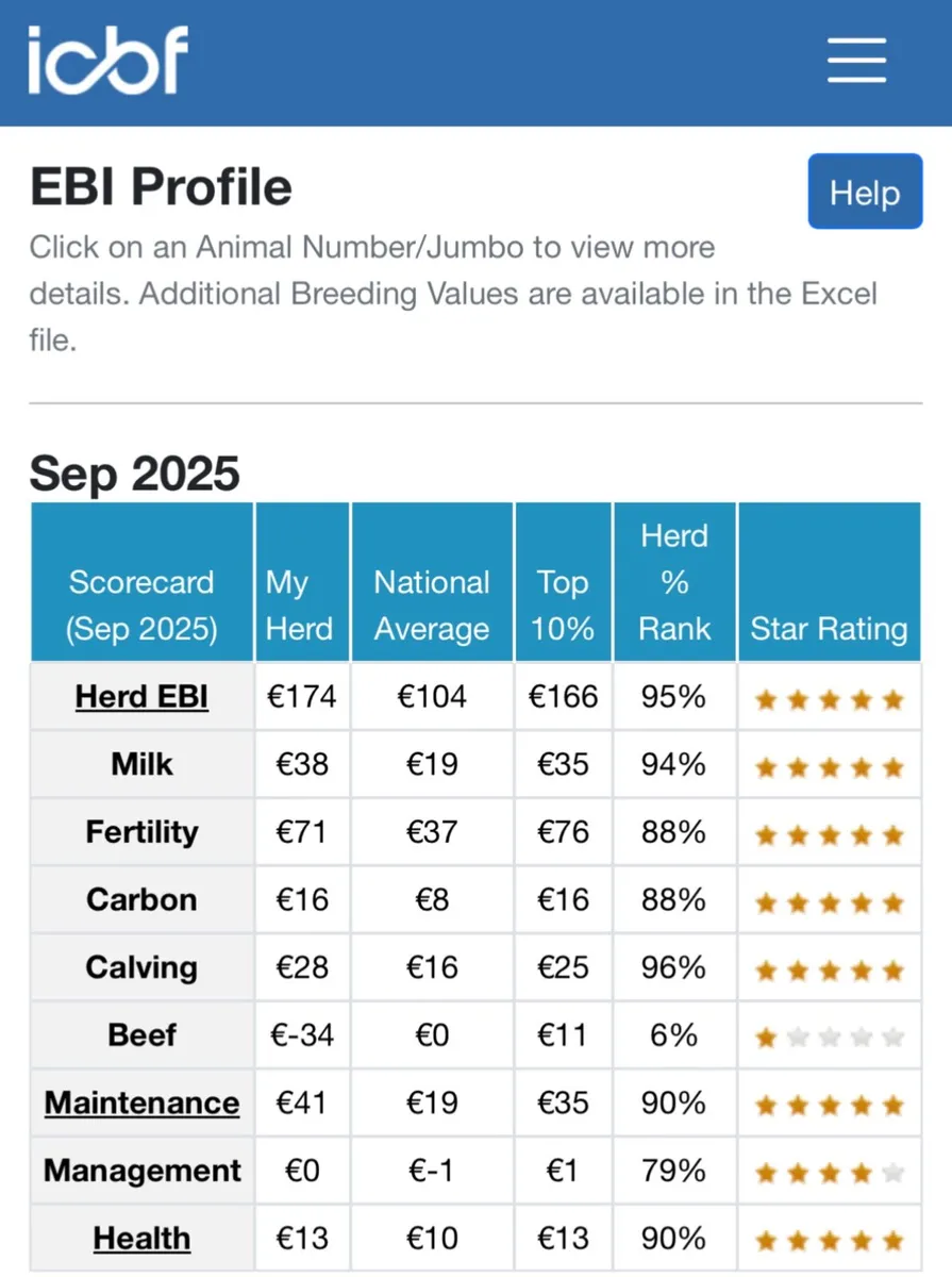 6no. incalf  heifers - Image 3