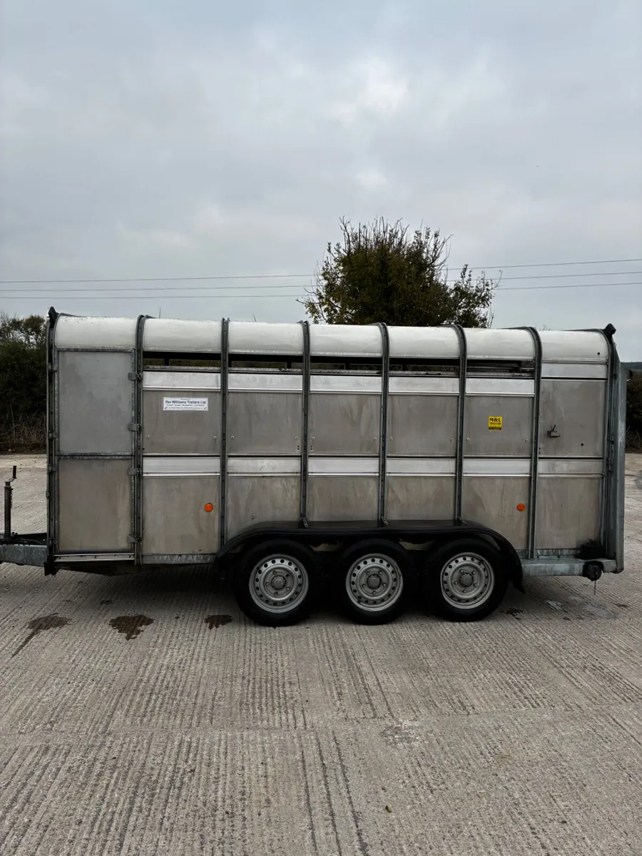 14ft ifor Williams livestock with decks - Image 2