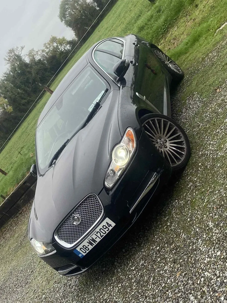 Jaugar XF - Image 2