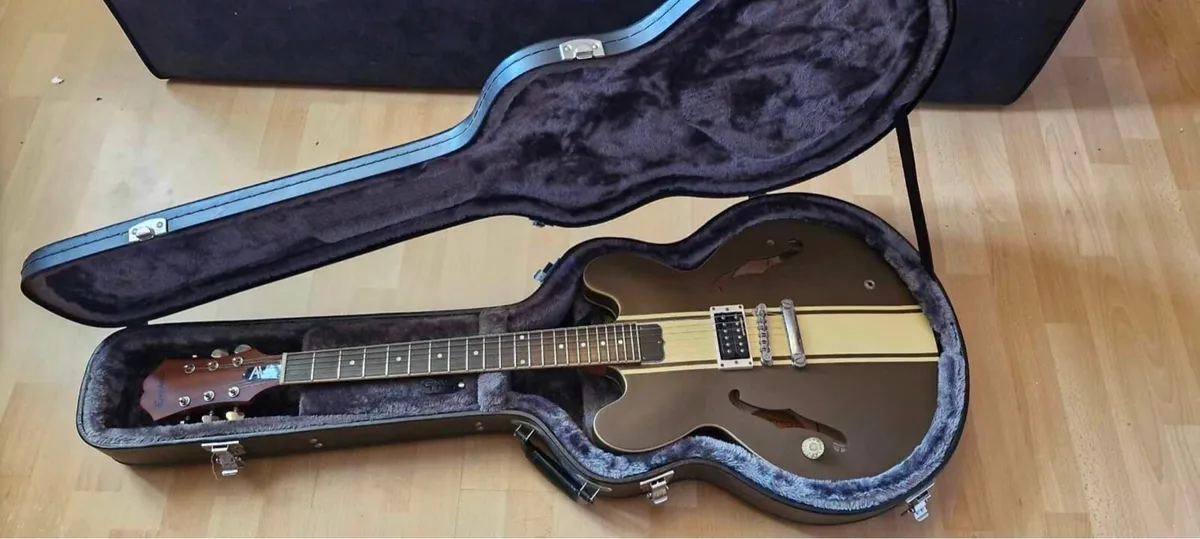 Epiphone Tom Delonge signature ES-333 & Hard case - Image 1