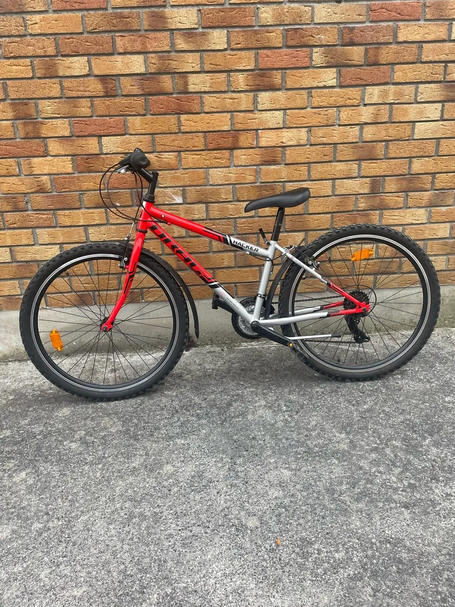 Bike - Image 1