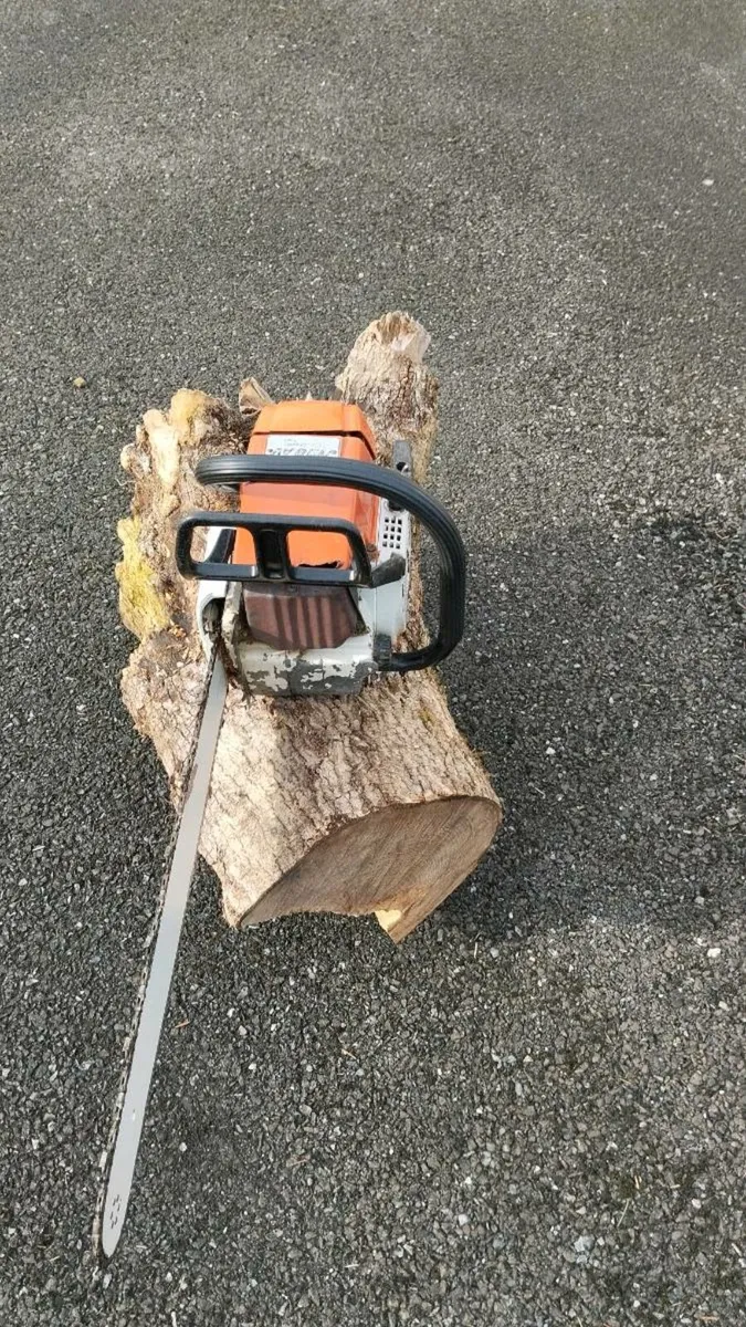 Chainsaw - Image 2