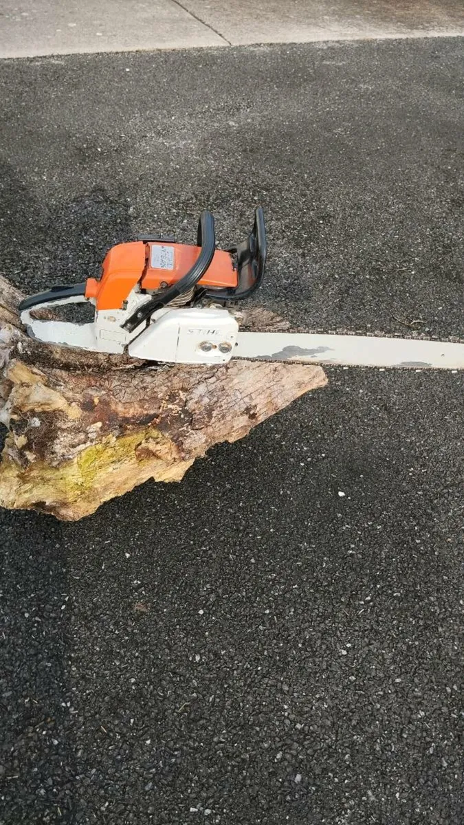 Chainsaw - Image 4