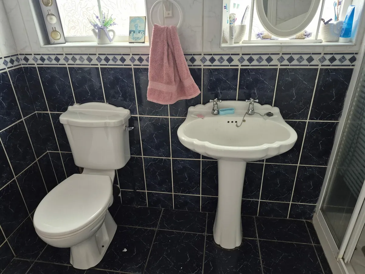 Toilet,sink,shower and cabinet - Image 1
