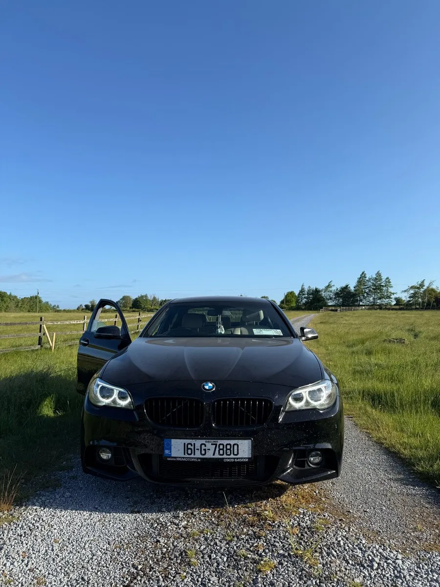 16 Bmw 520d M Sport Auto - Image 1