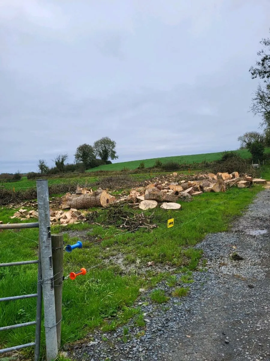 Garden maintenance and tree removal - Image 1