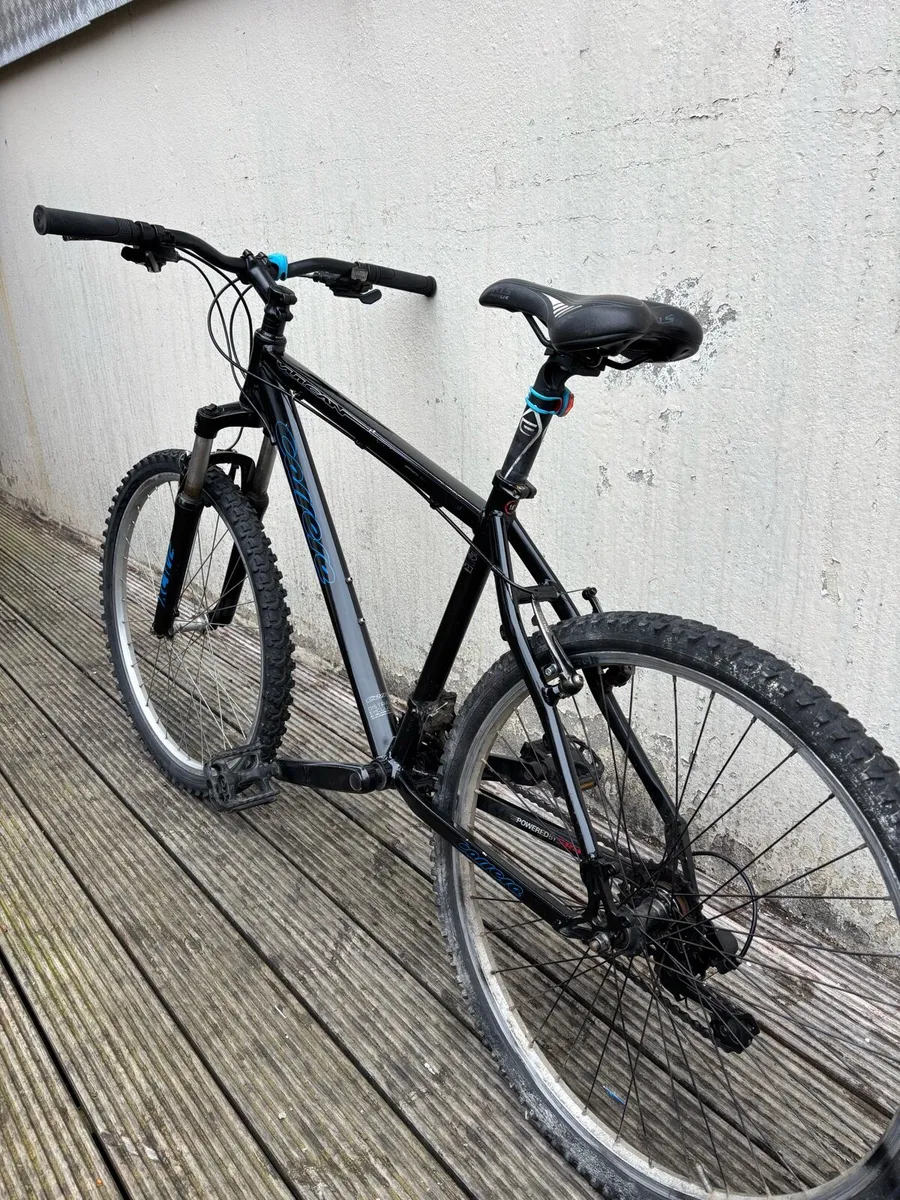 Adults bike Carrera M size - Image 2