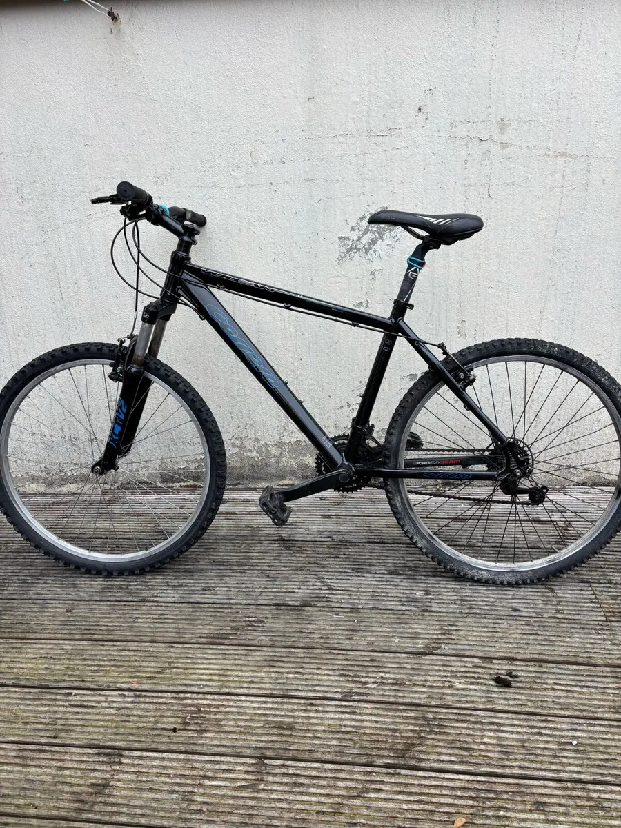Adults bike Carrera M size - Image 4