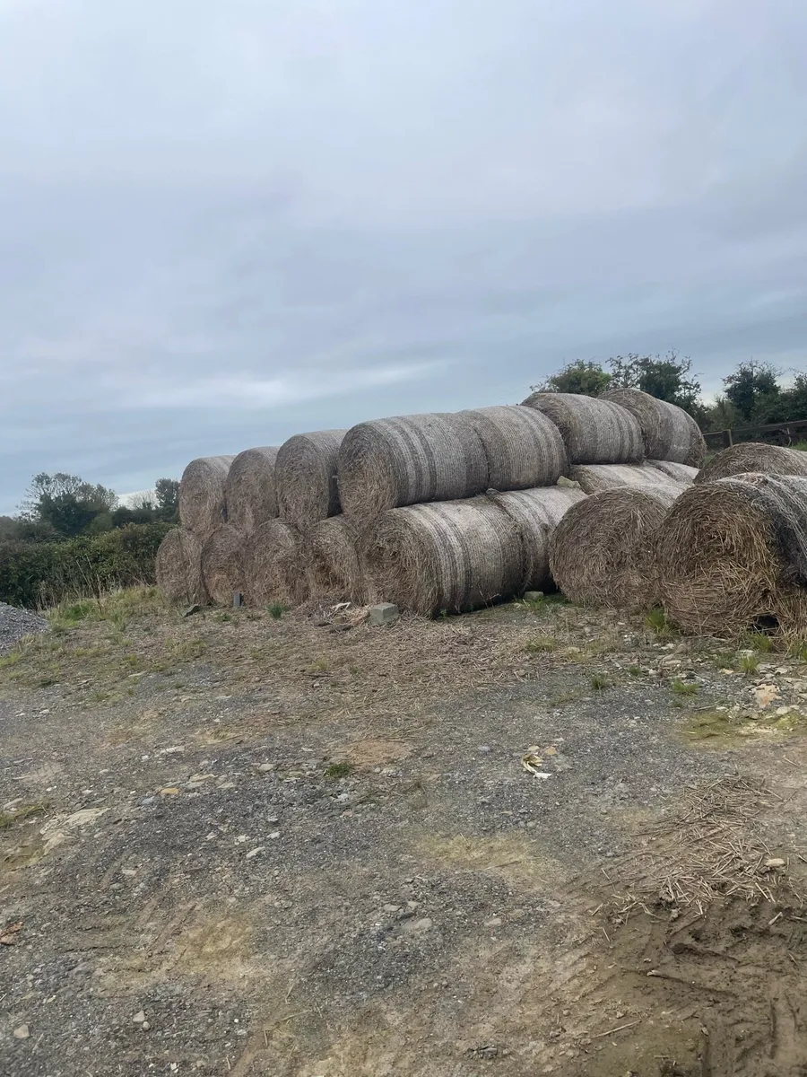 Straw